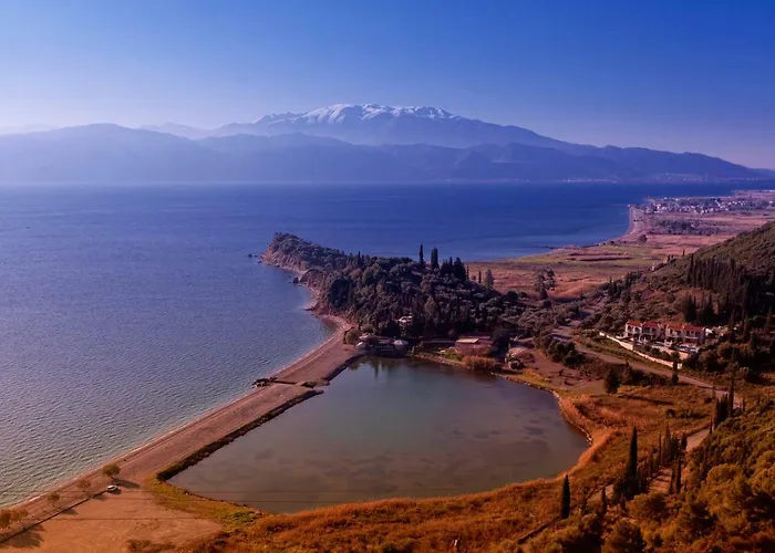 Parathalasso 蒙纳斯提拉